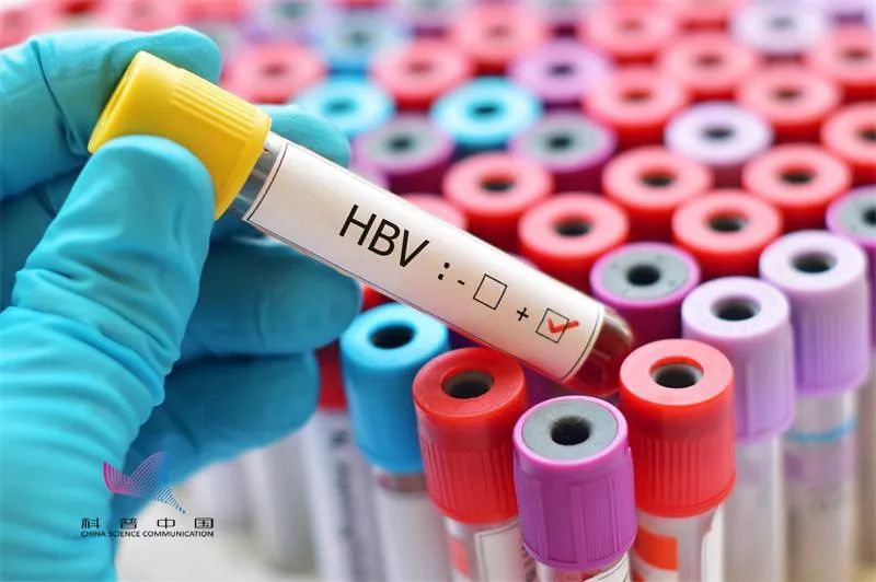 红遍朋友圈的洗血疗法，真能净化血液？