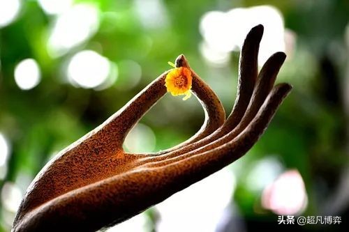 拈花微笑出自哪部佛经,拈花微笑典故