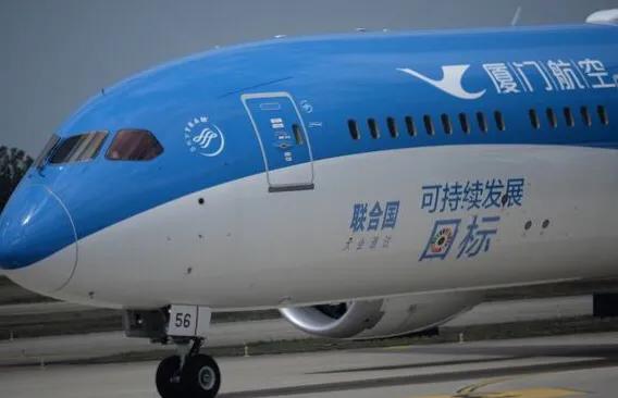 中国最好的彩绘机,让人眼前一亮的手工作品