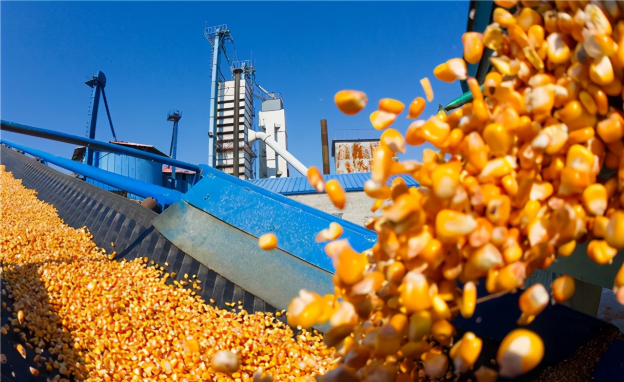 美国操控粮食价格,美国4大粮商与中国打粮食战