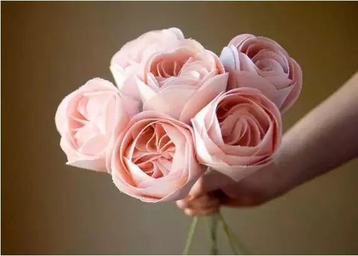 世界十大罕见花卉,世界名贵花卉高清大图