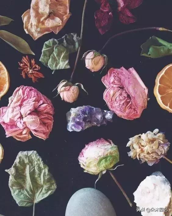 干花如何定格在墙上,干花制作5朵花教程