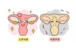 备孕小常识什么情况下需要促排卵,备孕期打促排卵针容易怀双胞胎吗