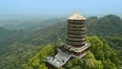 青城山熊猫谷都江堰一日游攻略,熊猫谷青城山都江堰一日游攻略