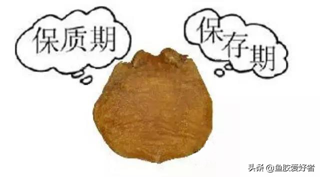 鱼胶冻的保质期,鲜炖鱼胶保质期