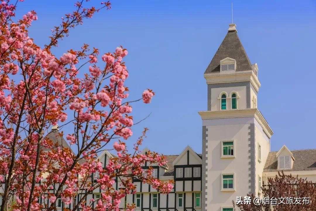 张裕卡斯特酒庄窖藏5年,张裕卡斯特酒庄品酒