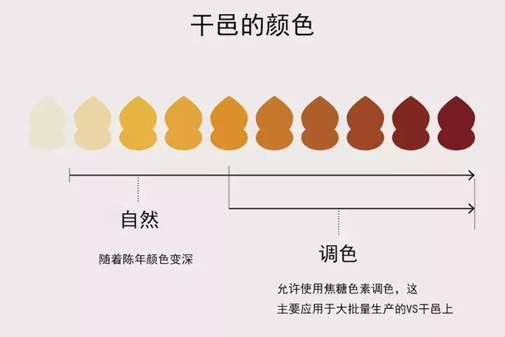 干邑怎么挑,新手如何选干邑