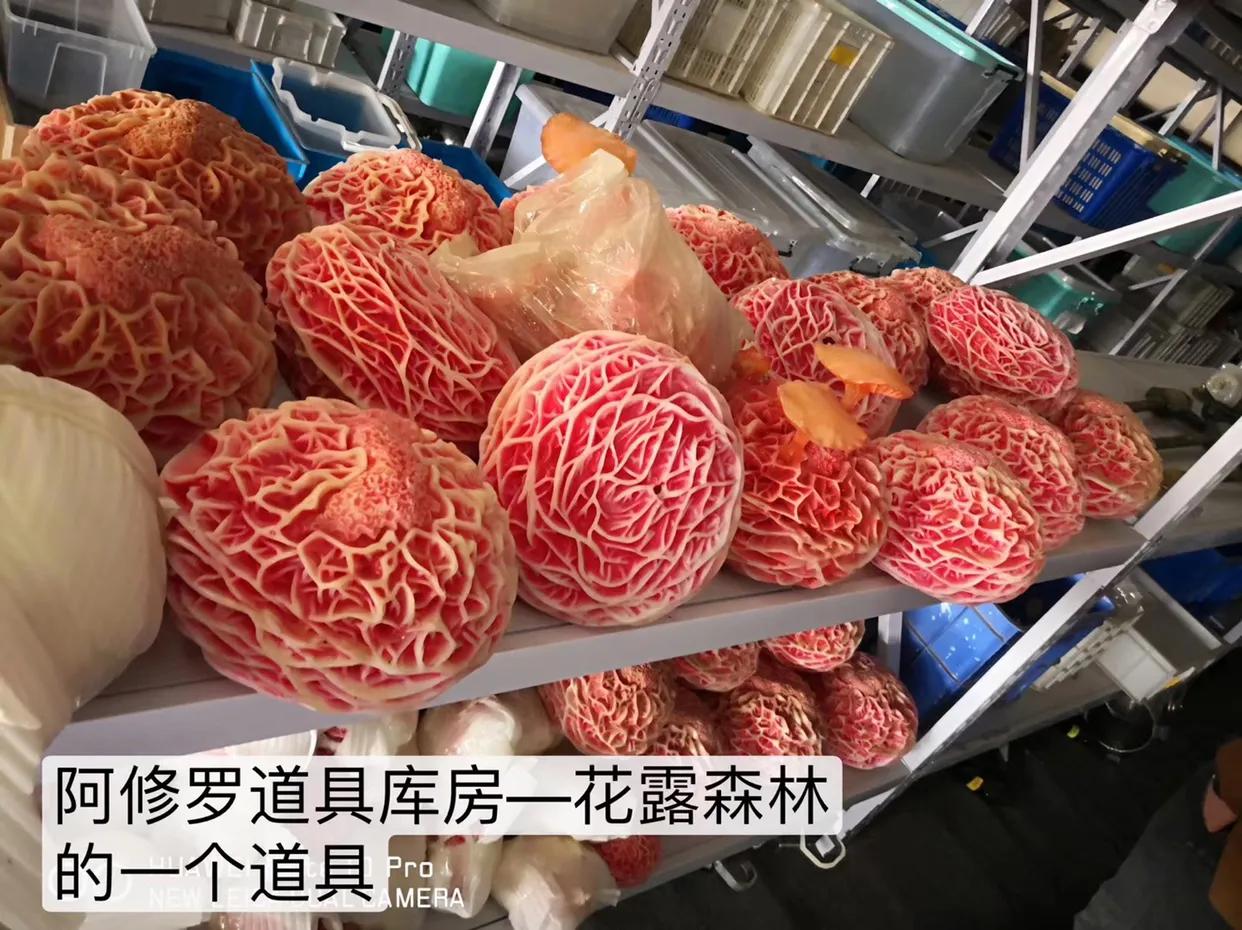 学校公关宣传活动策划方案,公关策划活动的终极目标