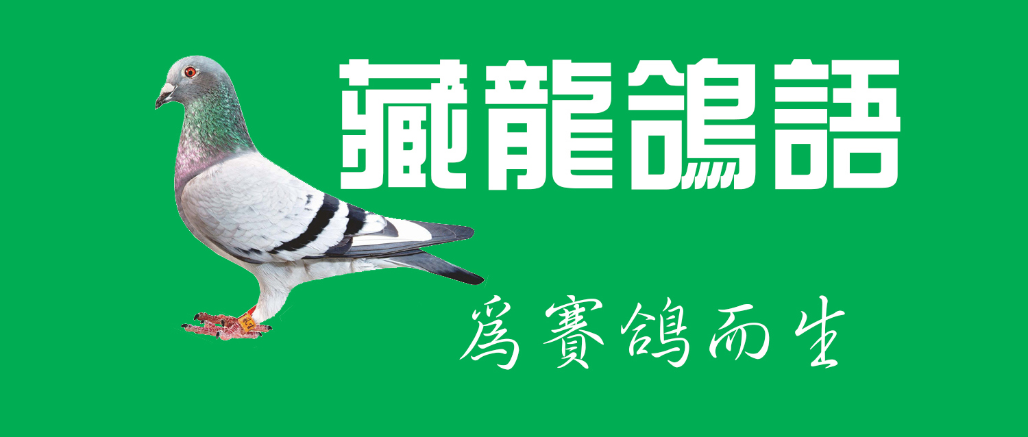 看了日本这个上环器我终于有勇气把这个分享给您
