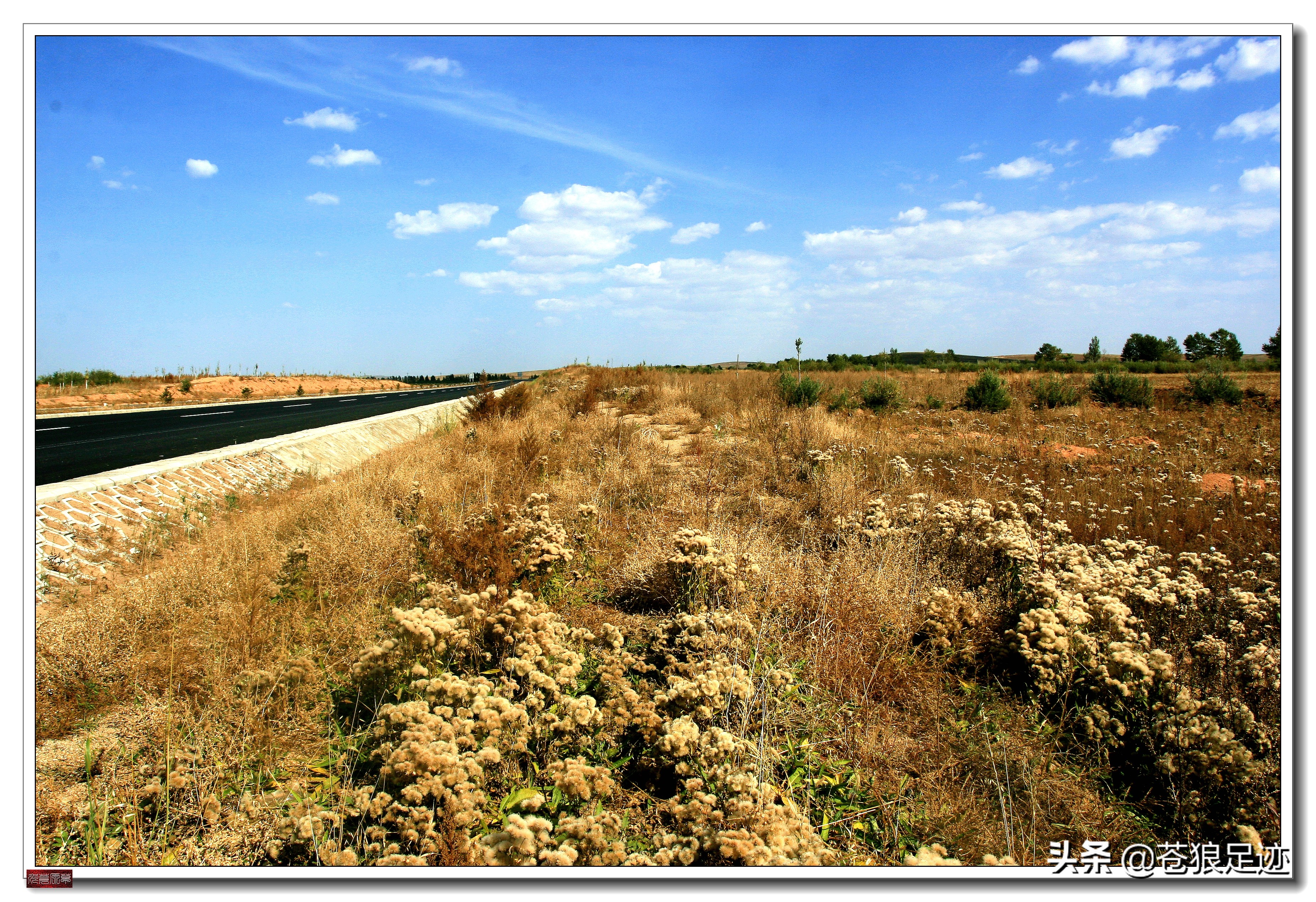 美丽的贡格尔草原风光无限,贡格尔草原上的牛羊的视频