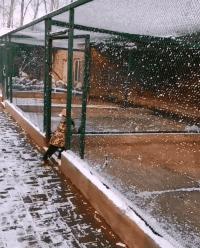 搞笑gif段子兄弟你把我吓到了,搞笑gif段子实在是猝不及防啊