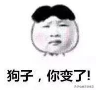 吉他自学从入门到精通电子版免费,应该如何有效的学习吉他