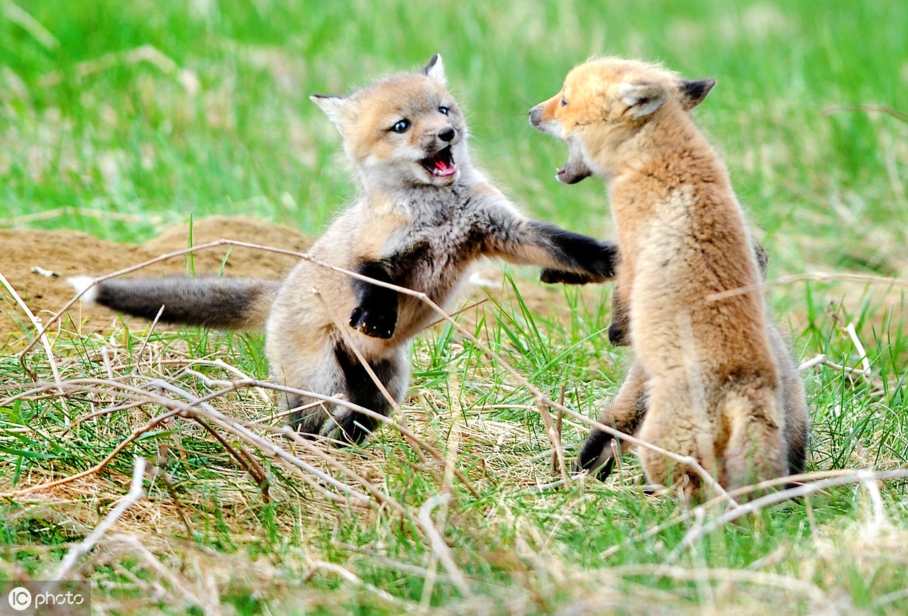 搞笑的有趣游戏,办公室游戏搞笑有趣的