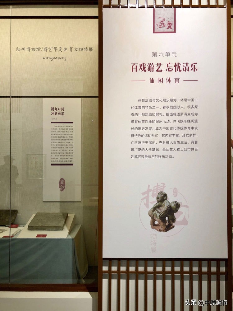 古代的体育运动你知道多少？郑州博物馆看华夏体育*物文**特展