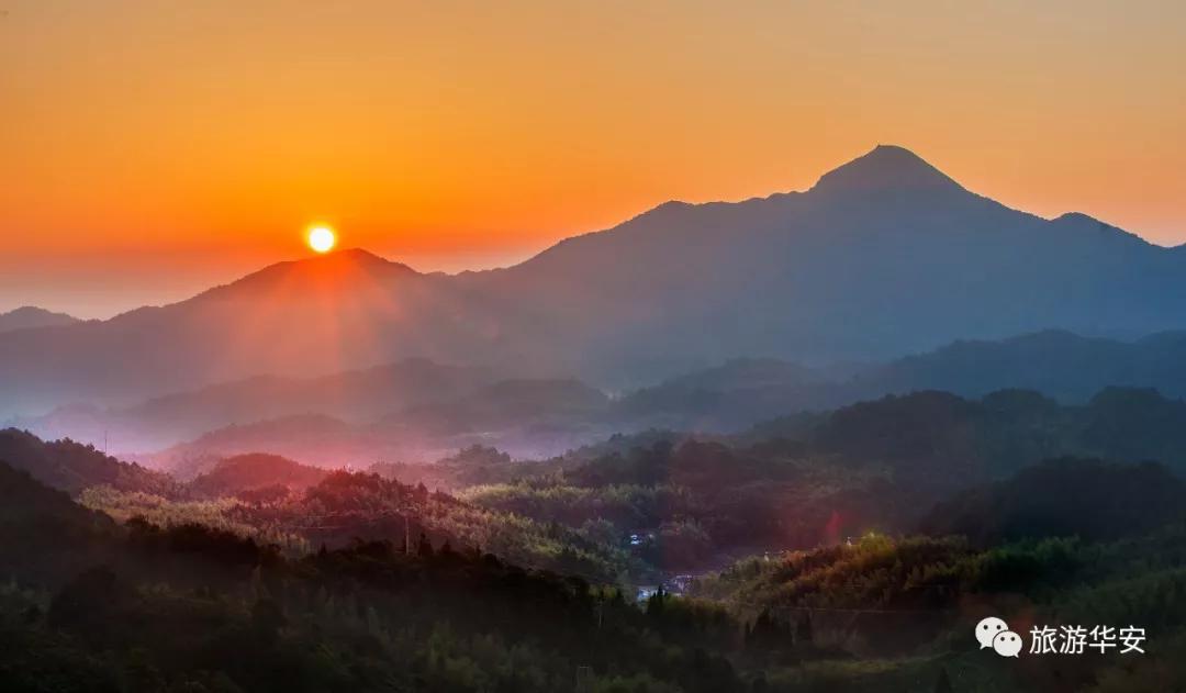春风十里不如你，我在华安等着您