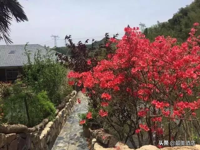 为一姑娘，10年他把30亩荒地打导致梦想家园，让人懂得真爱的意义