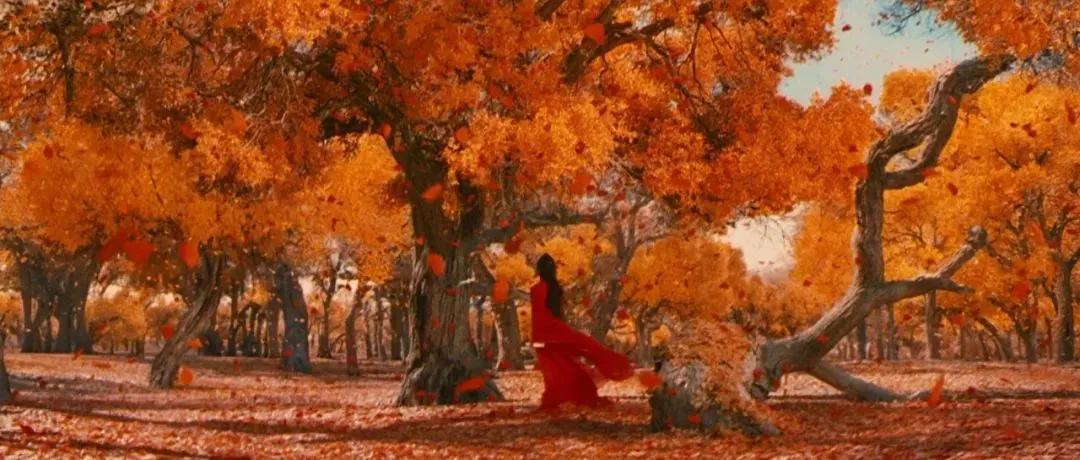 武侠是一代人的精神家园,武侠的侠义精神