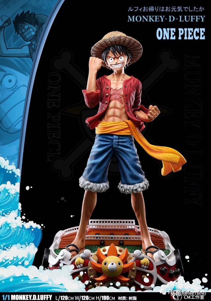 蒙奇d路飞中的d代表什么,蒙奇d路飞用日文怎么讲