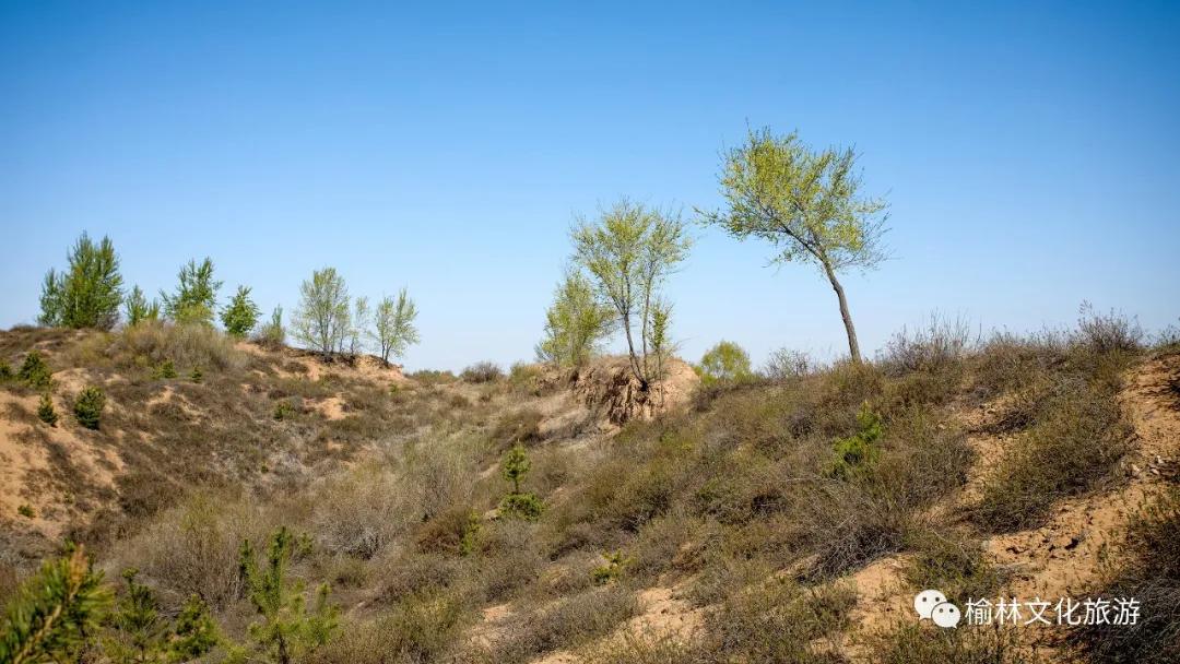 榆阳区周末游玩推荐,榆林芹河旅游