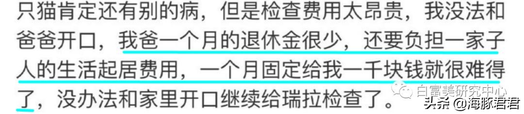 北京小公主靠吸猫血成百万大V，直播整容、大照骗、2年养死3只猫