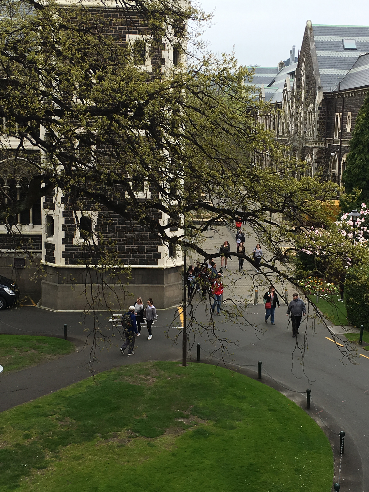 留学新西兰热门专业,新西兰医科大学排名