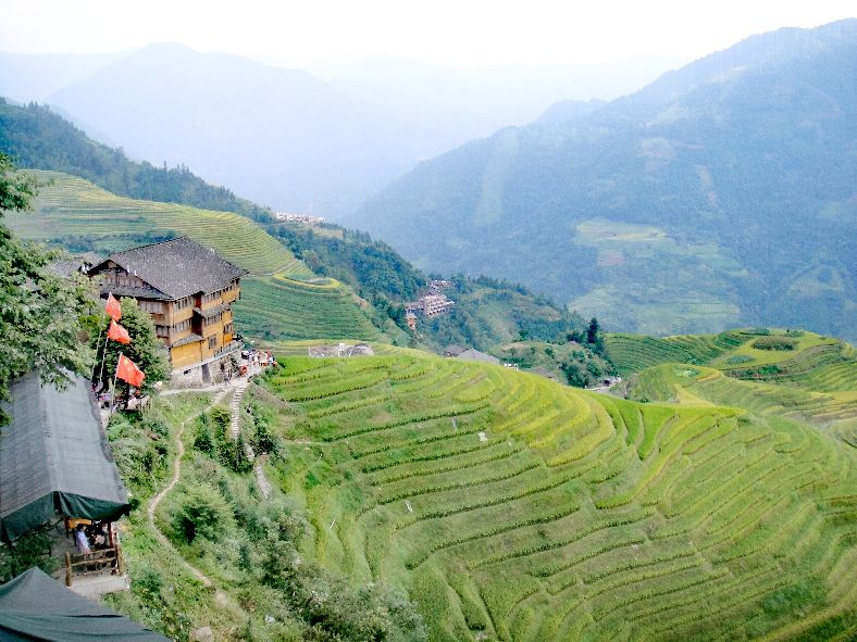 龙脊梯田七星伴月是什么意思,龙脊梯田七星伴月