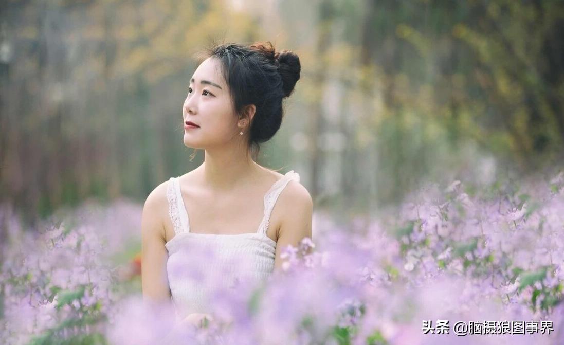 摄影中的三分法运用技巧,三分法构图如何选择拍摄内容