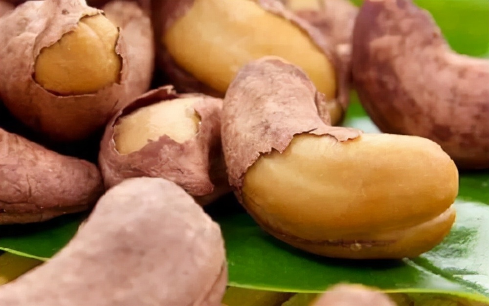 舌尖上的美食坚果,舌尖上的坚果有哪些