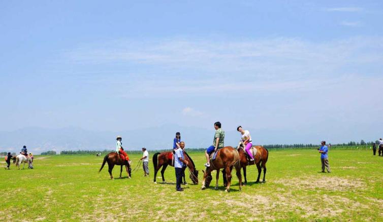 天津滨海新区亲子游玩好去处,天津五一亲子一日游