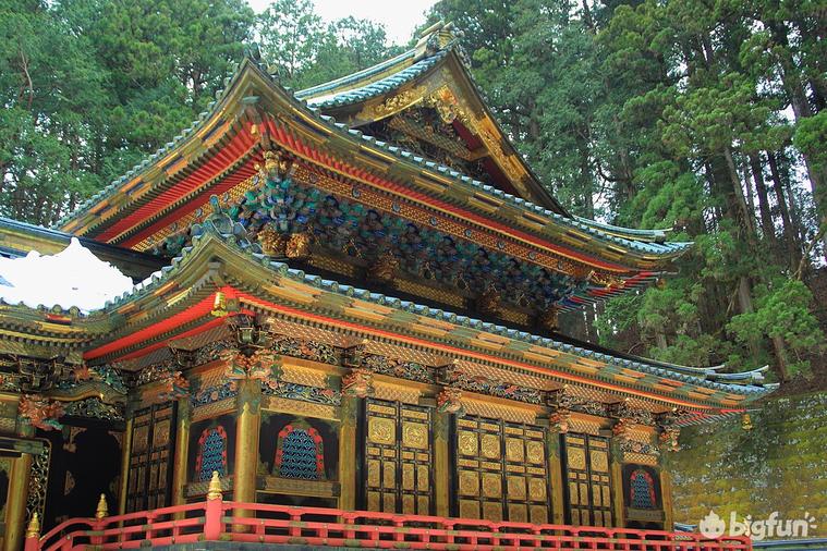 明日方舟种族考据,明日方舟考据党