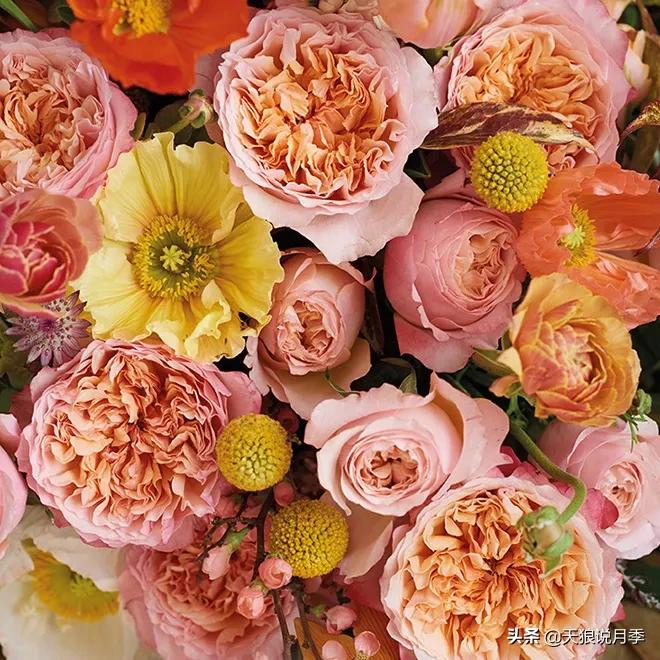 520你最想收到什么玫瑰,520这样的玫瑰你们喜欢吗