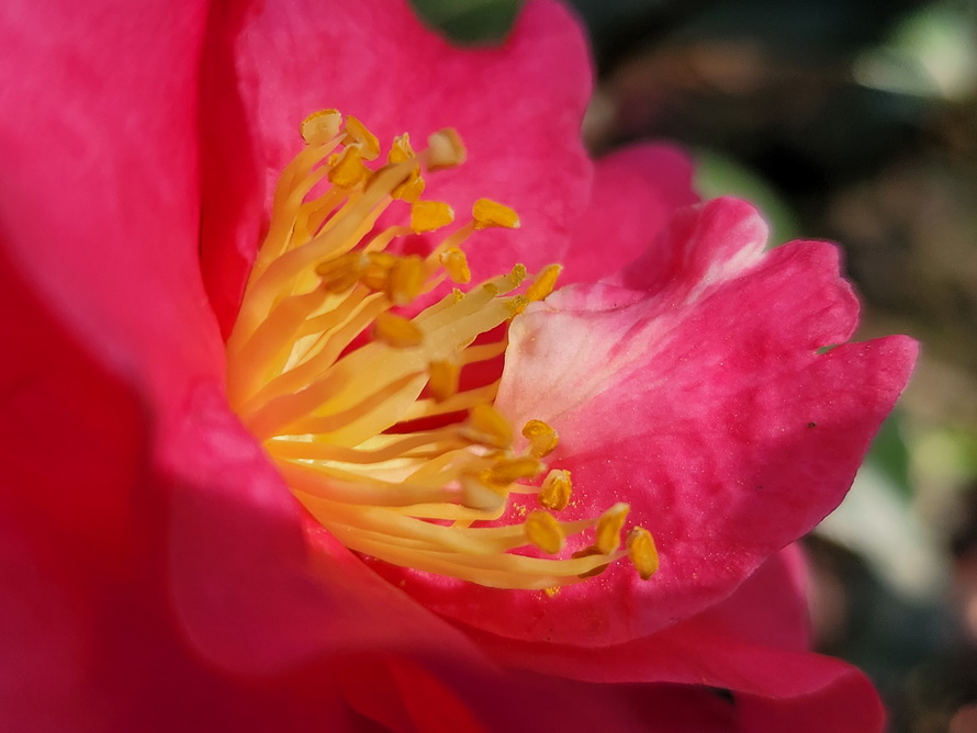 三星W215G评测：双卡双待双屏幕一切为商务而生