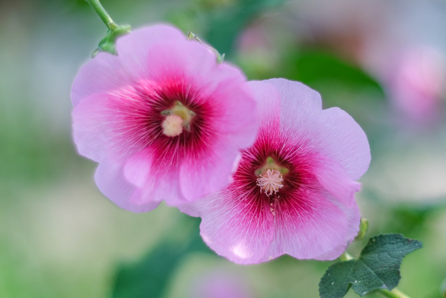 在学校自习室闹了个乌龙我和男神的故事开始了