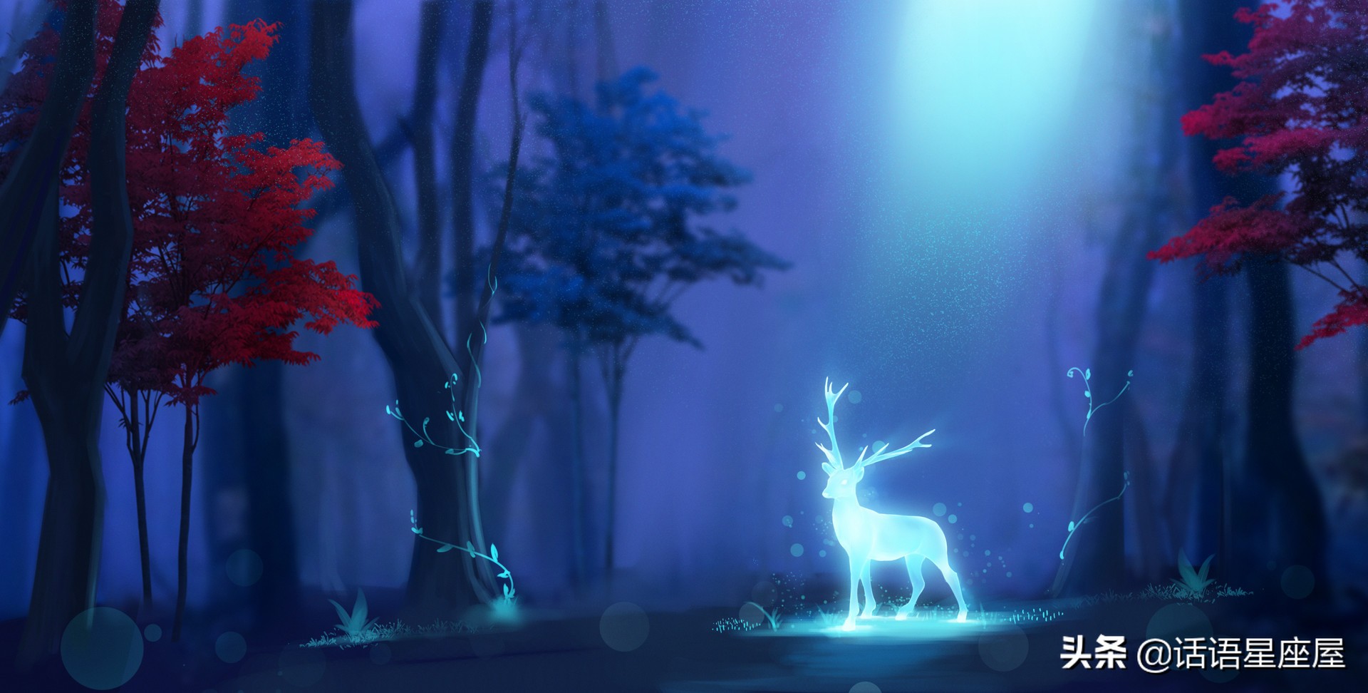 不可招惹的星座爆发力极强,心狠手辣报复心极强的四大星座