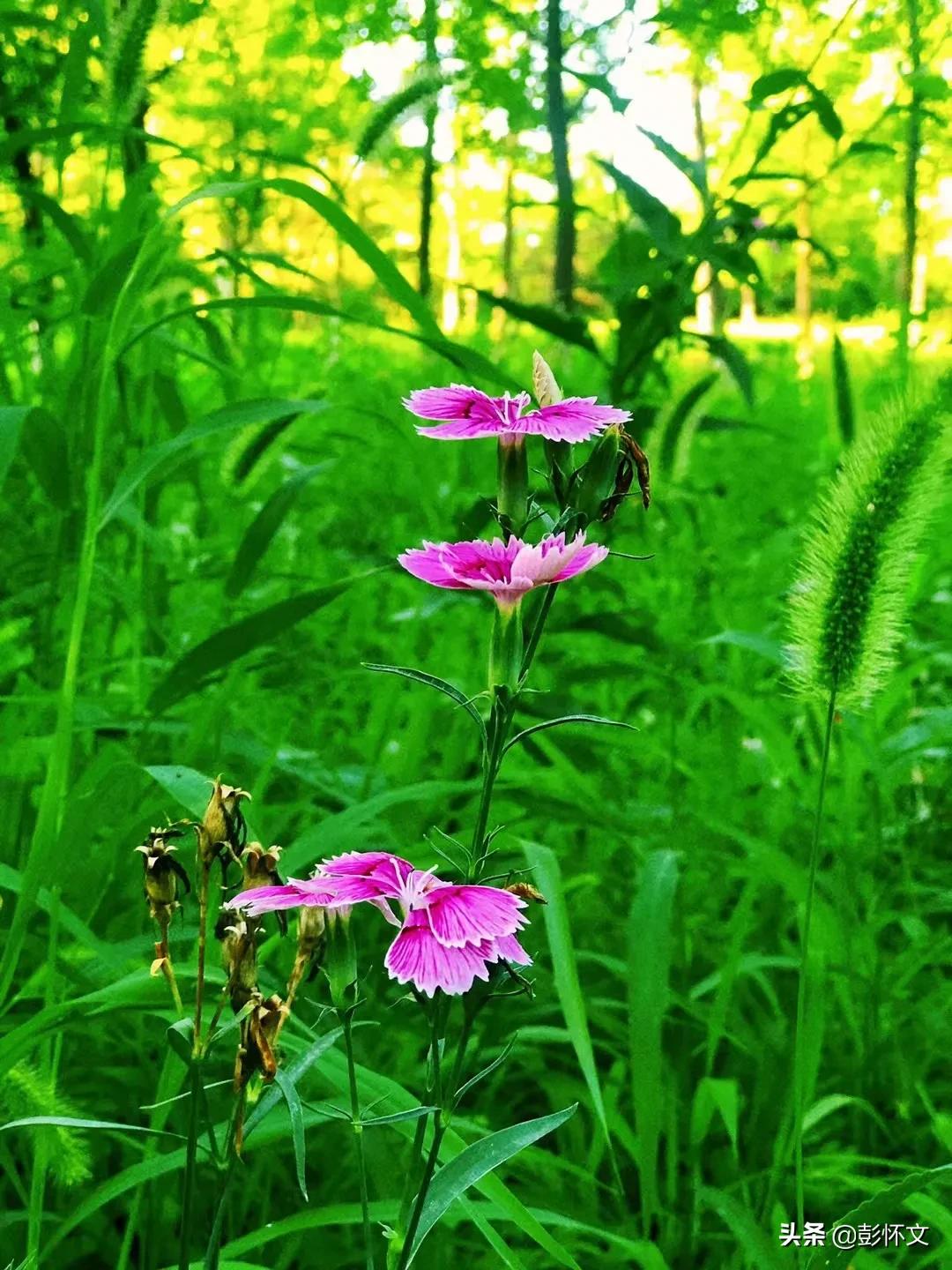 财税问答基础版全文,财税问题解答9则
