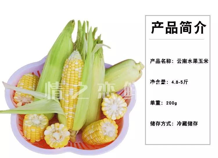 水果玉米生吃,可以生吃的爆浆水果玉米鲜甜脆嫩