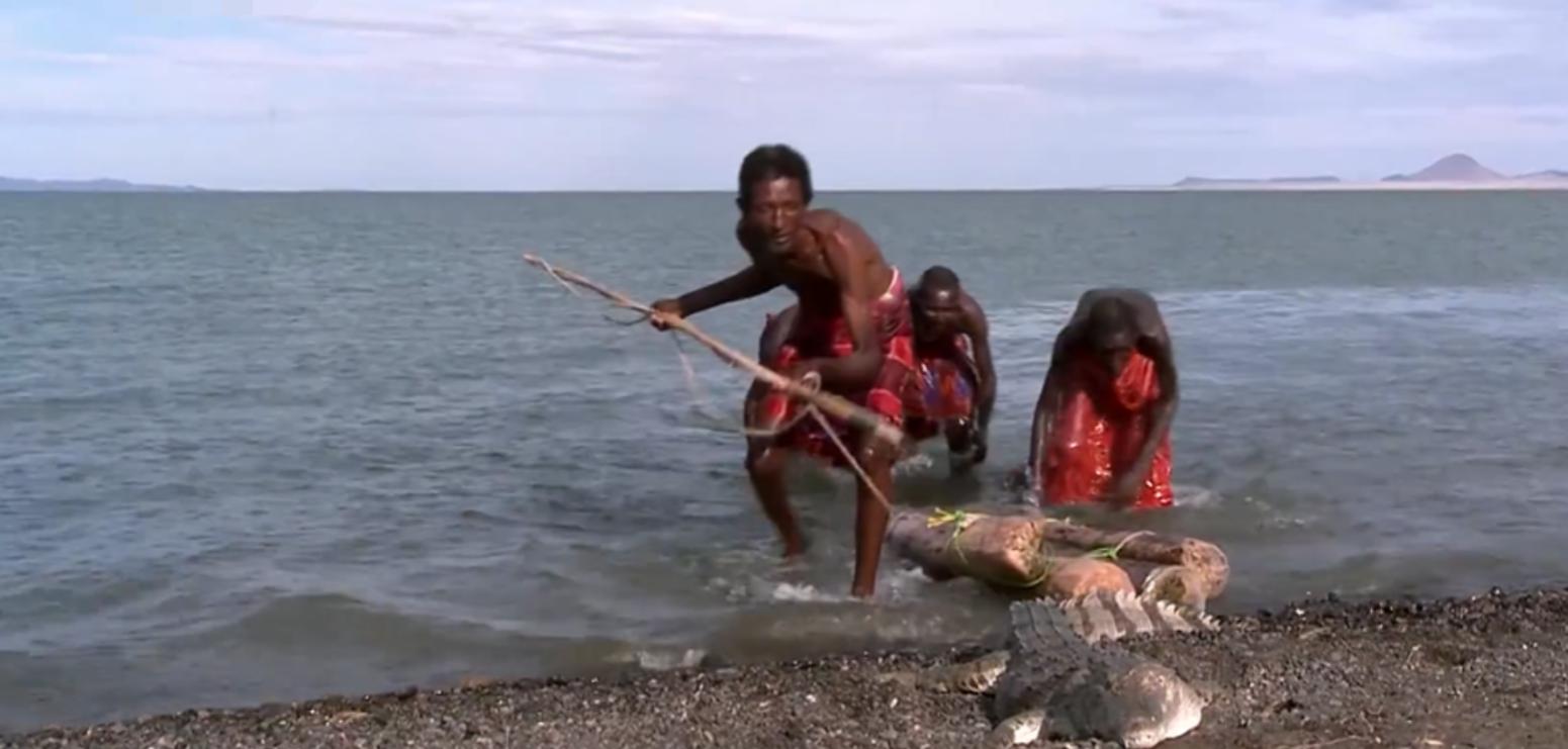 非洲埃尔莫洛部落：每天顿顿都吃鱼，没鱼时就捕杀鳄鱼充饥