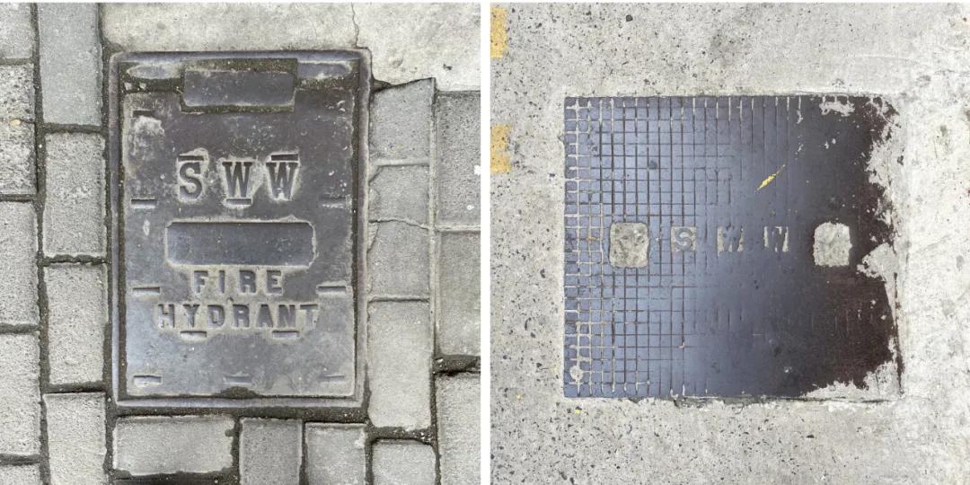 不要错过上海的春天,不要错过上海的夏天