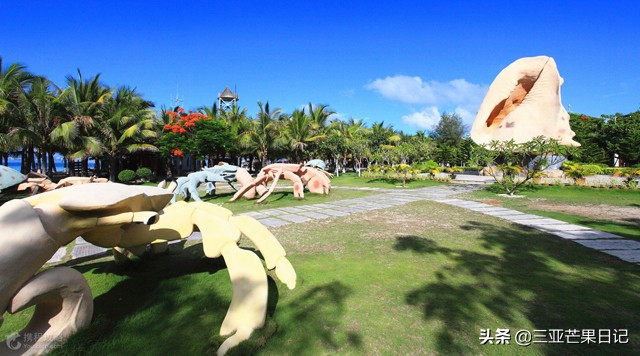 三亚旅游攻略最详细,三亚旅游攻略三亚自由行游记