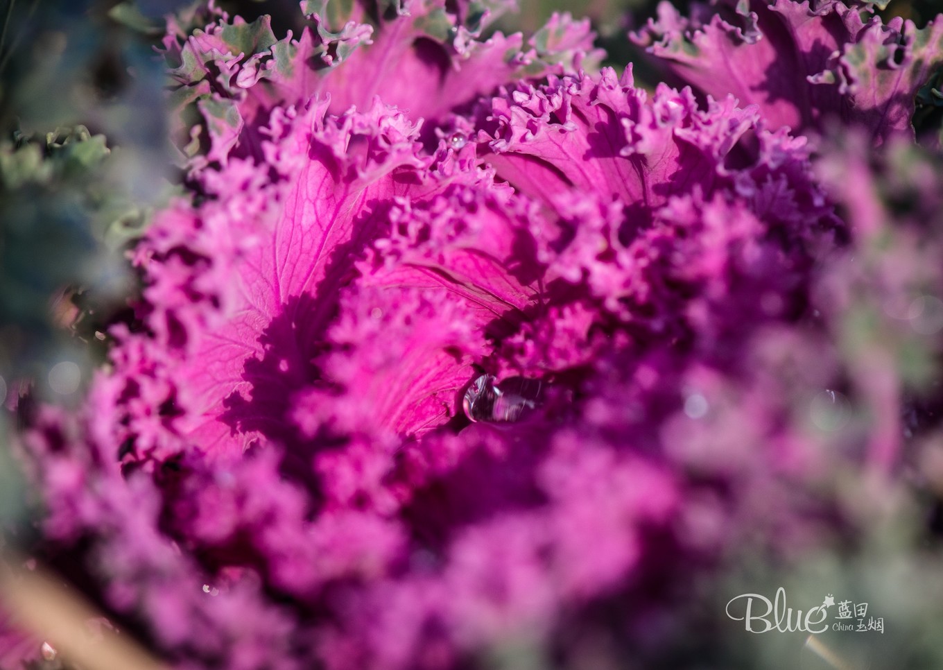 中国最美的大乘佛寺,最有灵性的古佛寺
