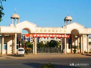 择校而居择优而邻,开学季选个靠谱的学区房