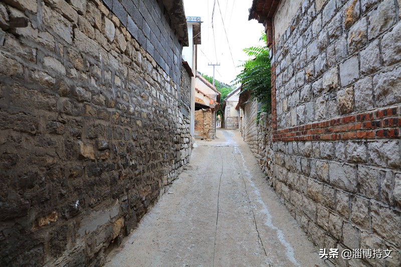 瑙︽懜涔℃剚鍙よ瘲鍥剧墖,瑙︽懜涔℃剚