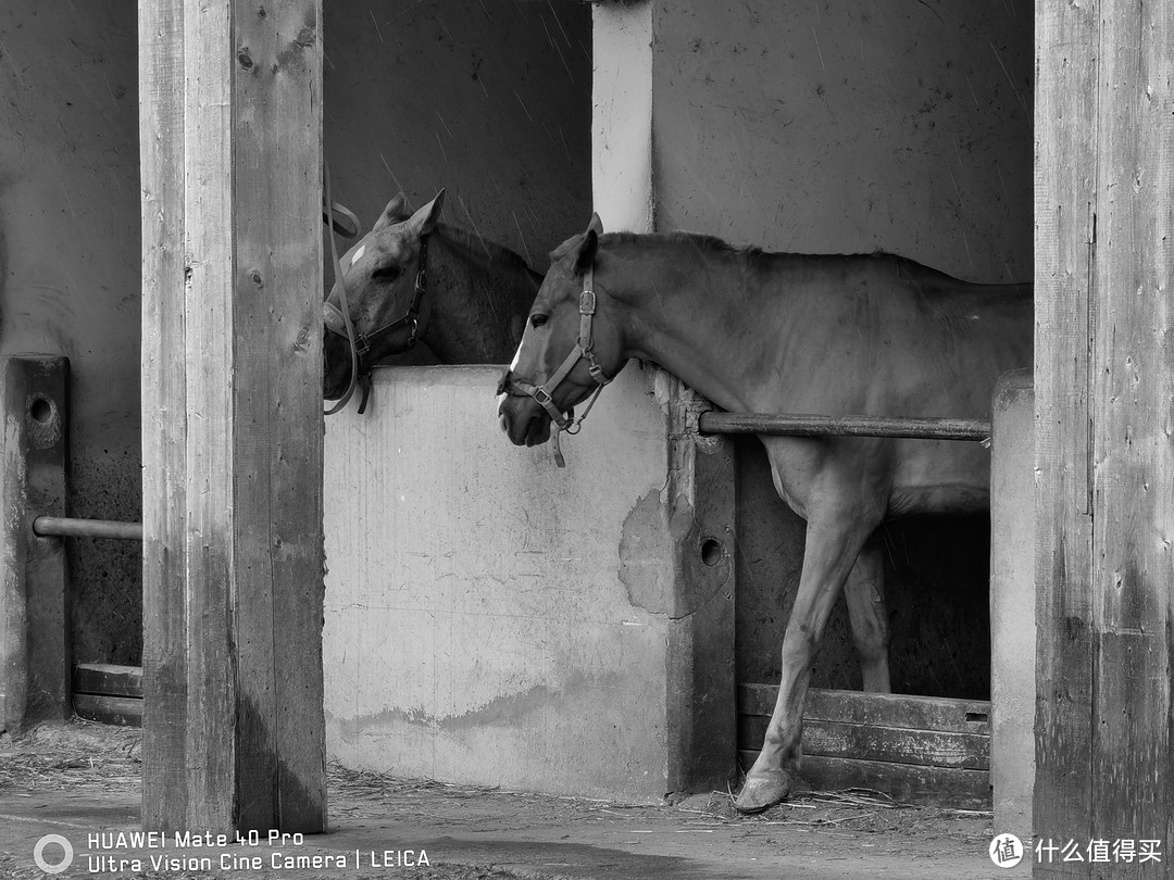 徕卡leicad-lux7相机测评,徕卡leicad-lux5测评