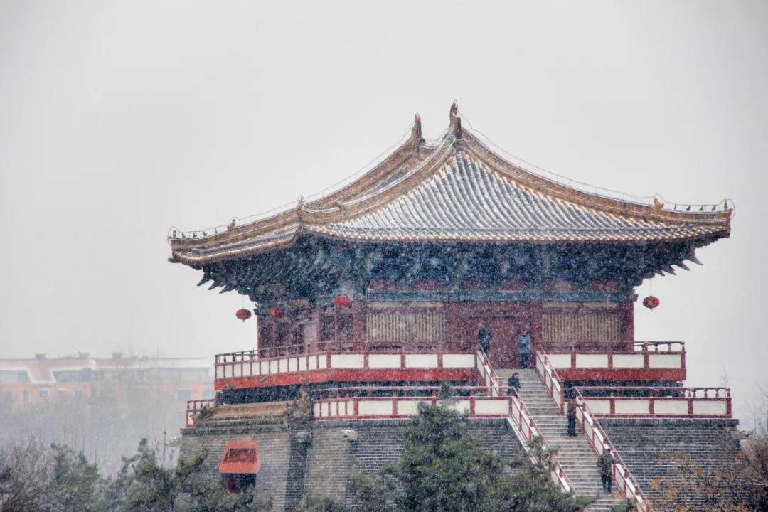 清明上河园终身年卡在哪里购买,清明上河园年票能升级终身票吗