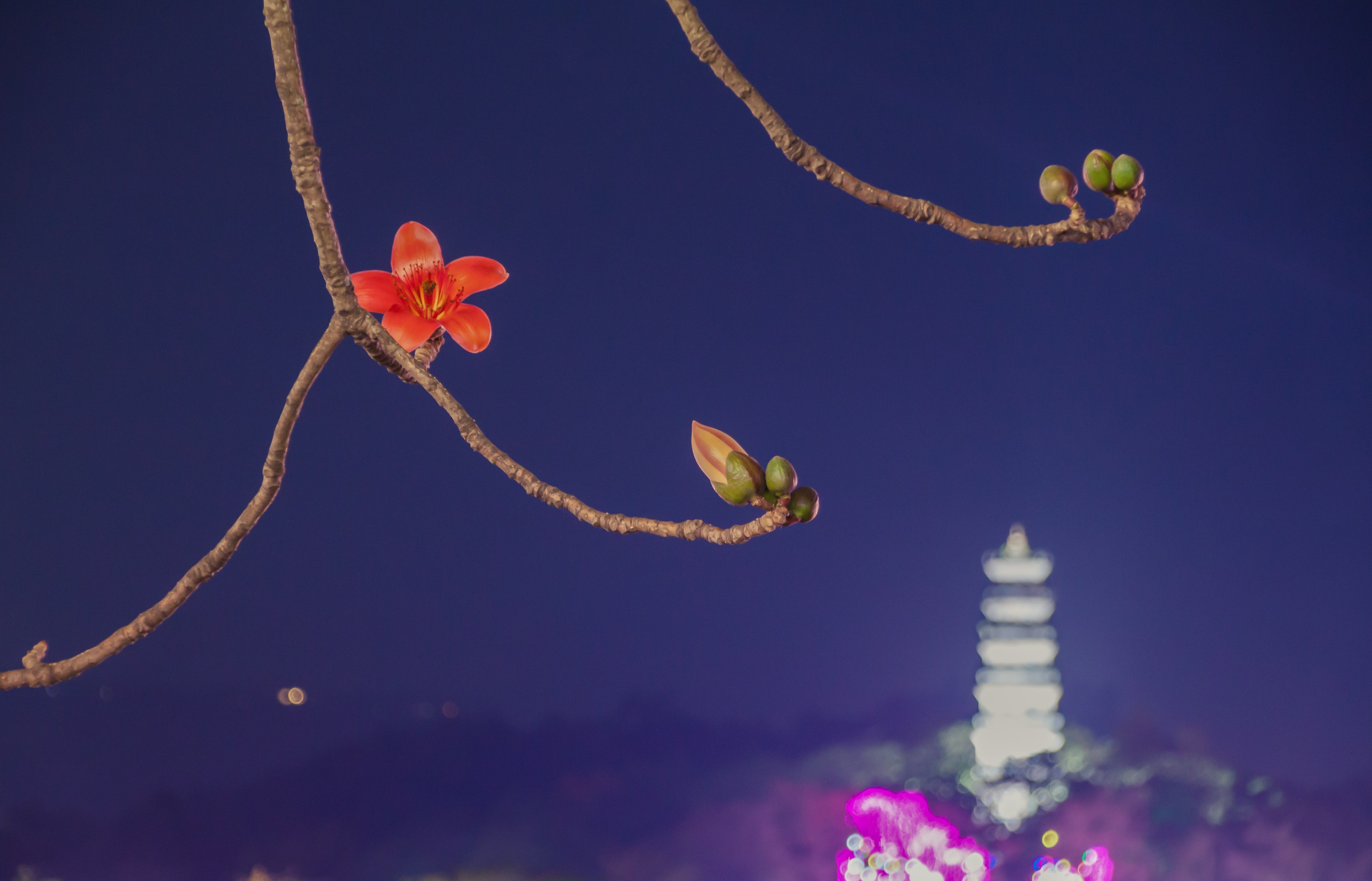 景深入门基本知识,关于摄影你需要知道的