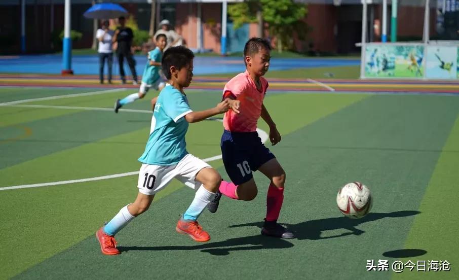 厦门最新学校通知,厦门学校的最新通知