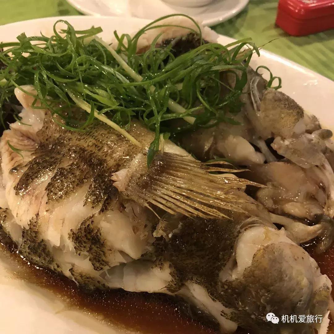 珠海长隆和广州长隆旅行攻略,珠海长隆和广州长隆旅游攻略区别