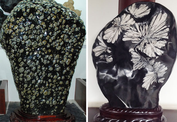 武汉中华奇石馆直播现场,武汉中华奇石馆视频