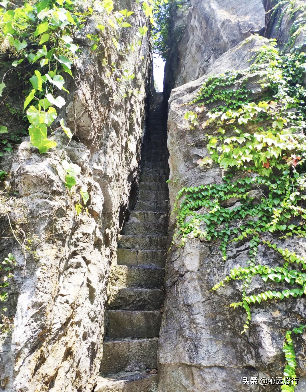 苏州西山景区旅游攻略,苏州西山旅游景点便宜攻略