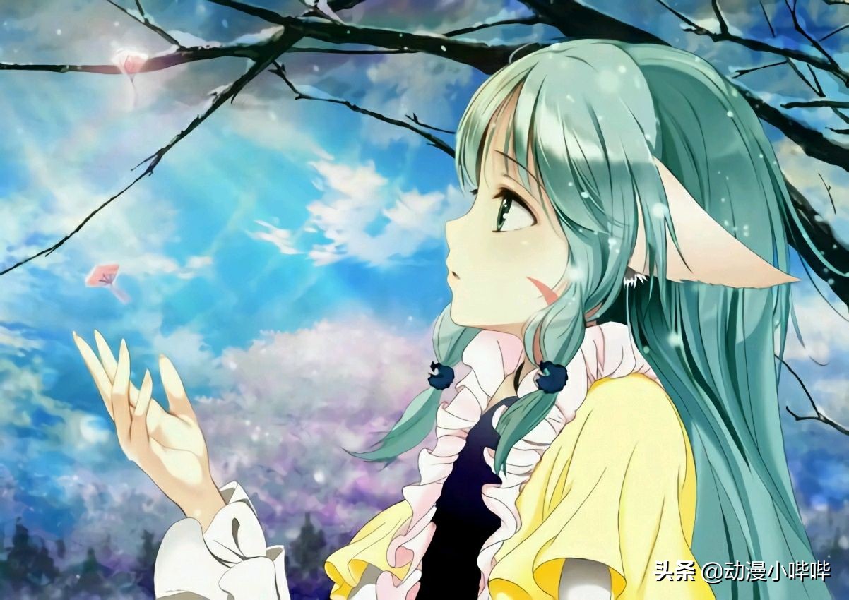 新番，旧番，表番，里番，看动漫这么多年这些番剧名词你懂了吗？